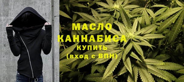 индика Армянск