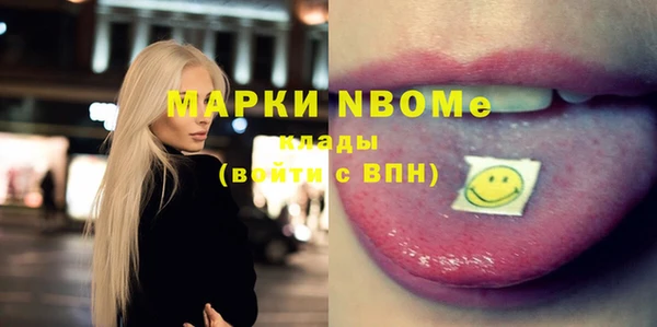 индика Армянск