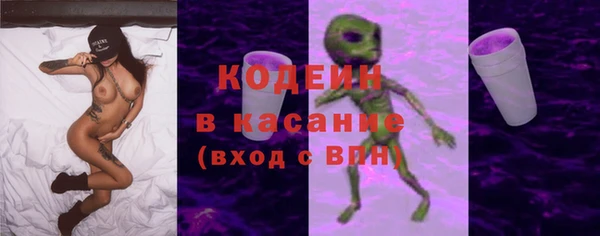индика Армянск