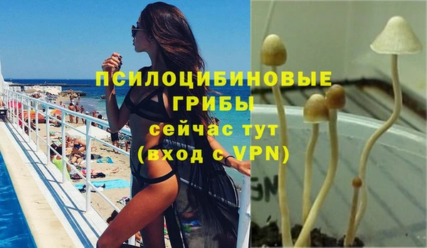 индика Армянск