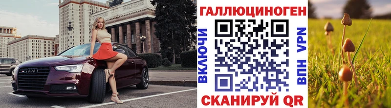 кракен   Нижний Ломов  Псилоцибиновые грибы GOLDEN TEACHER 